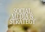 be your social media marketing manager and content creator